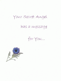 Greeting Card Image